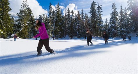 Snowshoeing In Whistler Tourism Whistler