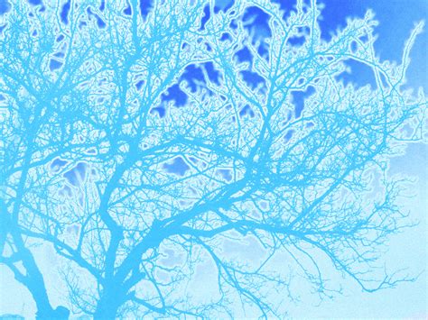 Blue Tree By Dakuness On Deviantart