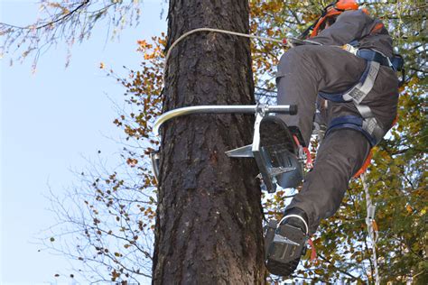 Tree Climbing Gear Plemont