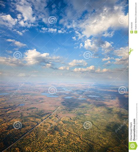 Forest Plain Under White Clouds Stock Photo Image Of Outdoor Branch