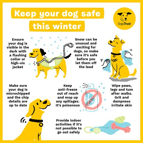 Dog Safety Dog Blog