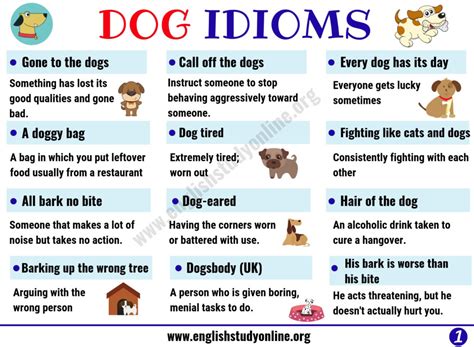 Dog Idioms And Sayings List Of 35 Interesting Idioms Related To Dog