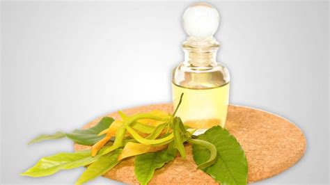 Ylang ylang essential oil is one of the first oils i remember smelling as a child. Surprising Benefits of Ylang-Ylang Essential Oil