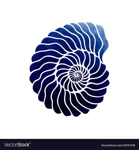 Graphic Circle Seashell Royalty Free Vector Image