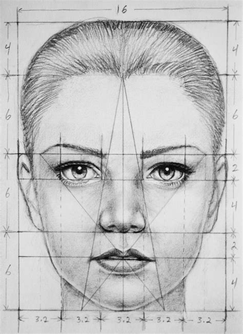 Human Proportions Photo Portrait Drawing Drawing Techniques Face