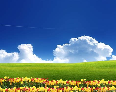 Beautiful Summer Garden Wallpapers Hd 1080p For Desktop