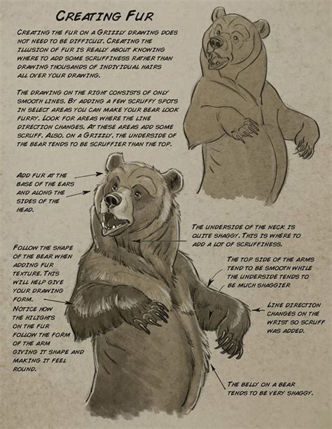Мои закладки Медведь Эскизы животных Фурри арт