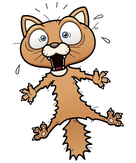 Scared Cat Cartoon 👉👌this Free Clipart Png Design Of Gray Scared