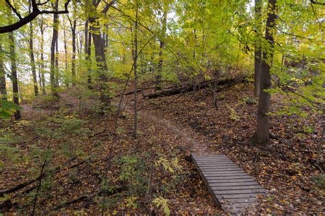 Hiking trails in and around Toronto
