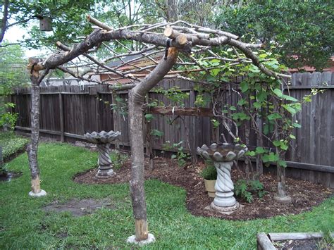 Grape Vine Arbor Made With Reclaimed Limbs From The Front Yard Diy