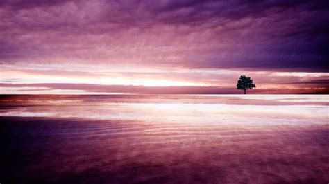 Available for hd, 4k, 5k pc, mac, desktop and mobile phones. Purple Nature Wallpapers | HD Wallpapers | ID #11890