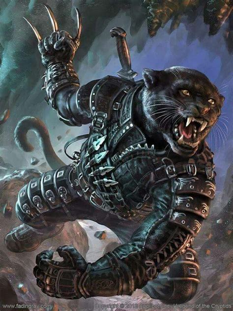 werecat fantasy character design fantasy art character art