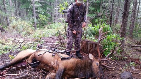 Archery Roosevelt Elk With Angry Spike Productions Live Action Films