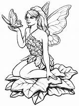 Fairy Coloring Adults sketch template