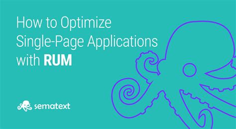 Spa Tracking And Monitoring Optimizing Single Page Apps W Rum Sematext