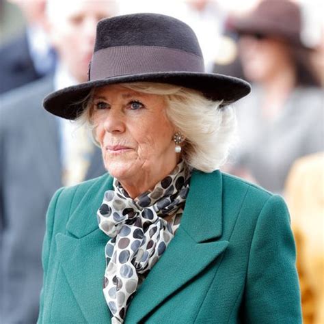 The duchess of cornwall says she can't wait to hug her grandchildren after only seeing them on internet calls and at a social distance since the start of lockdown in the uk. Camilla, Duchess of Cornwall Shares Message About Domestic ...