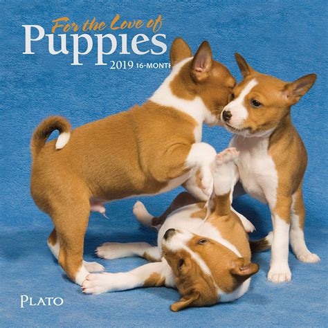 For The Love Of Puppies 2019 Mini Wall Calendar Plato Calendars
