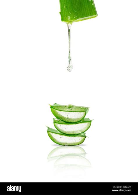 Aloe Vera Gel Dripping Over Sliced Leaves Isolated On White Background
