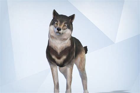 The Sims 4 Wolf