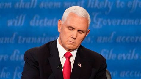 A fly on Mike Pence's head was all the buzz after the vice-presidential ...