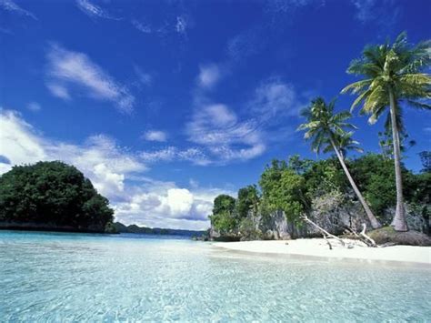 Bay Of Honeymoon Island World Heritage Site Rock Islands Palau
