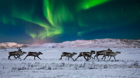 Northern Lights Over Open Water In Winter Near Whitehorse Yukon Bing