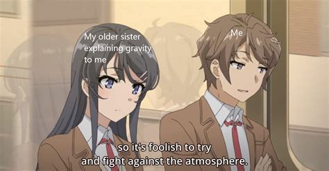 Day 71 Of Bunny Girl Senpai Memes Animemes