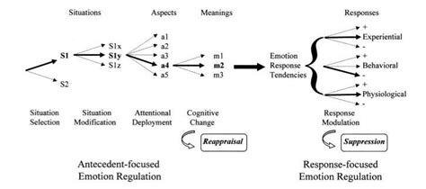 Process Model Of Emotion Regulation Gross 2002 P 282 According To Download Scientific