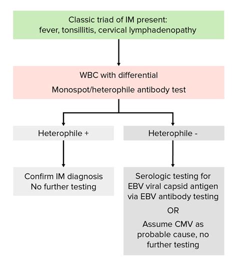 Mononucleosis Concise Medical Knowledge