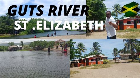 Guts River Stelizabeth Jamaica Vlog Youtube