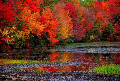 Fall High Resolution Wallpapers Widescreen Fall Foliage Fall Colors