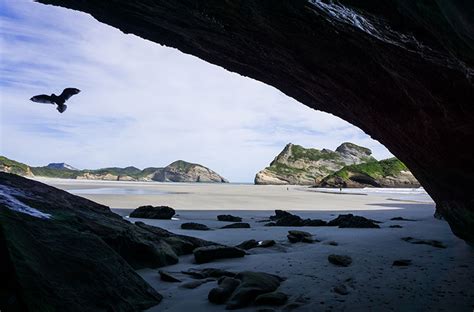 Top 12 Caves In The South Island New Zealand See The South Island Nz