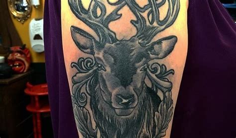 10 Celtic Stag Tattoo Ideas Petpress