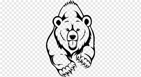 American Black Bear Drawing Grizzly Bear Painting Bear Png Pngwave