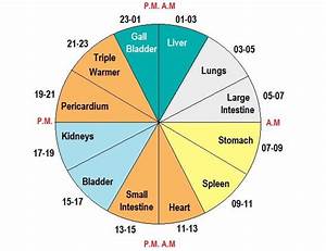 Chinese Body Clock What Is The Chinese Meridian Clock