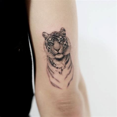 15 Small Tiger Tattoo Design And Ideas