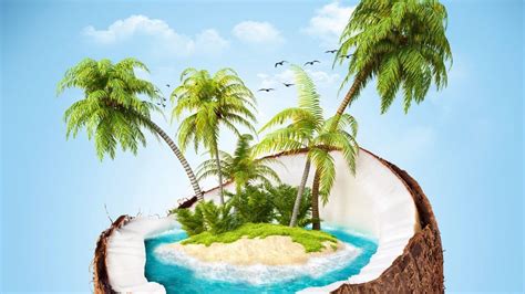 Coconut Tree Desktop Wallpapers Wallpaper Cave