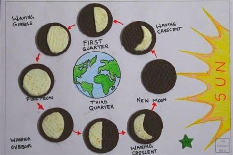 Explore Phases Of The Moon Using Oreo Cookies Worksheets And Lesson