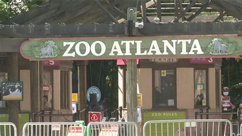 Zoo Atlantas Brew At The Zoo Returns In 2021