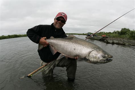 Alaska Hopeful News For Kanektok King Salmon Aardvark Mcleod