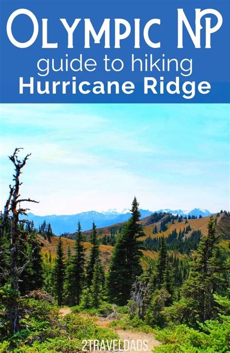 Best Hike At Hurricane Ridge Olympic National Park Pin 3