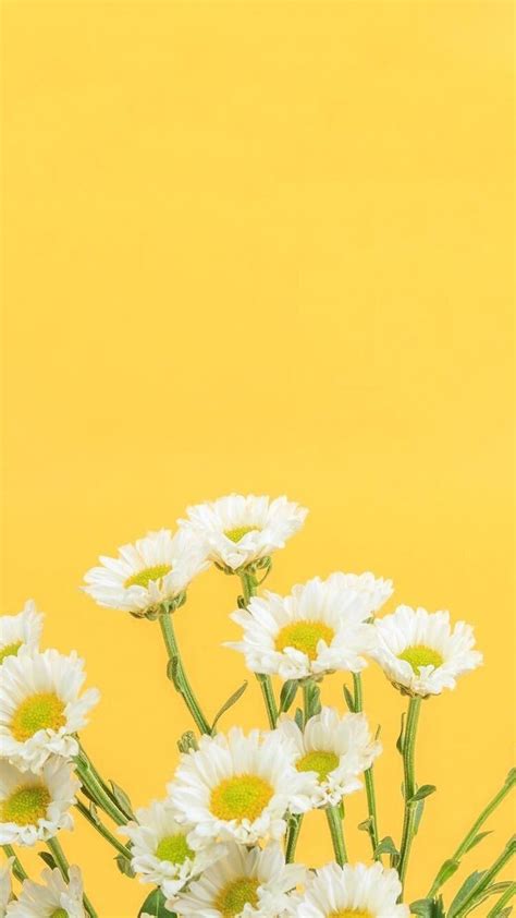 White And Yellow Flowers Wallpapers Wallpaper Cave