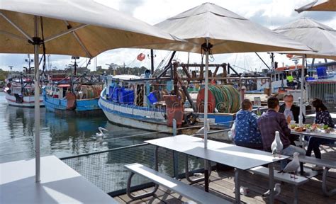 Visitors Eats Seafood In Sydney Fish Market Wharf Sydney New Sou
