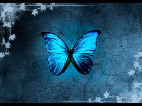 🔥 50 Free Butterfly Screensavers And Wallpapers Wallpapersafari