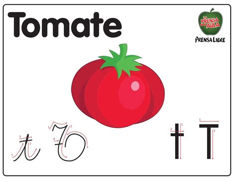Letra T Mayúscula T Minúscula Cómo Escribirla Tomate El Alfabeto