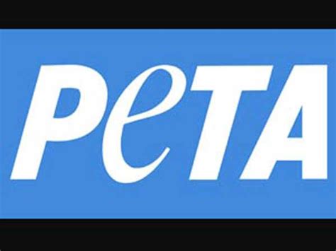 Check spelling or type a new query. PETA India urges Pak minister to stop exporting donkeys to ...