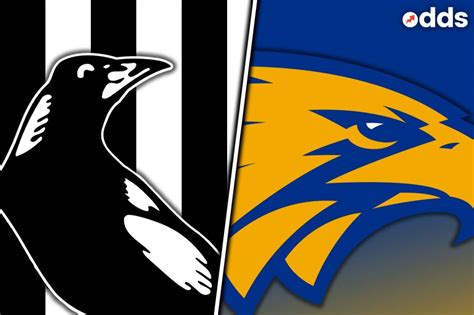 Collingwood Vs West Coast Afl Grand Final Preview Multi And Tips Odds