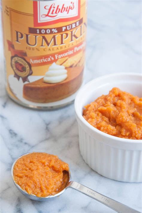 10 Smart Ways To Use Leftover Canned Pumpkin Purée Canned Pumpkin