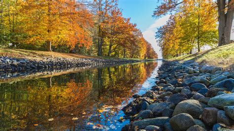 River With Stones Between Colorful Autumn Trees In Forest During