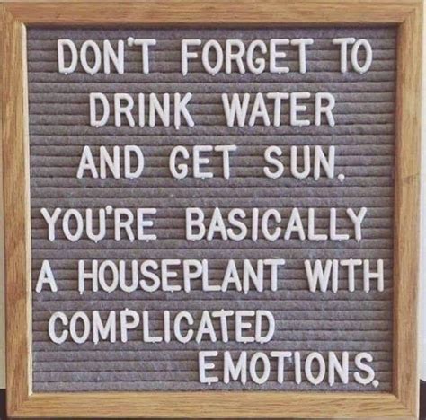 Yea You Houseplant Funny Quotes Drinking Water Water Meme